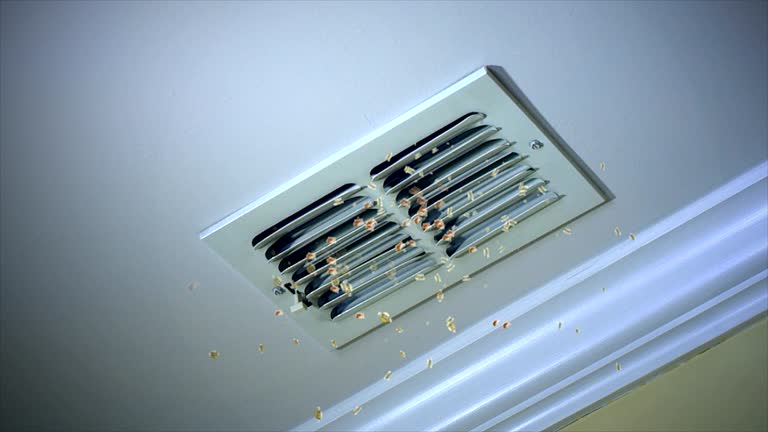 Best HVAC Duct Inspection Services  in Shrewsbury, MO