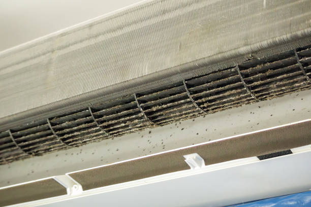 Best Best Air Duct Cleaning Company  in Shrewsbury, MO